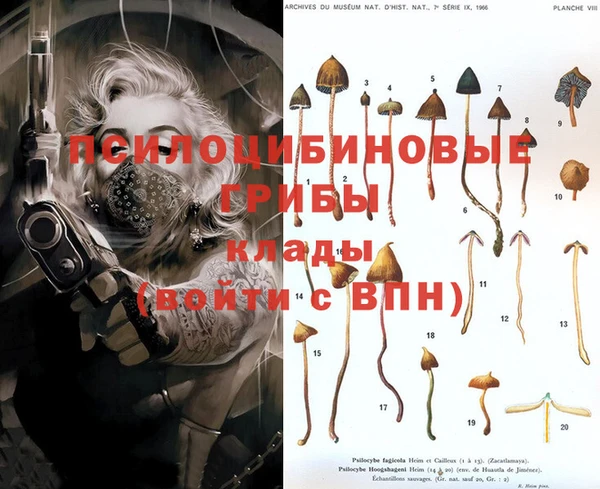 Альфа ПВП Наволоки